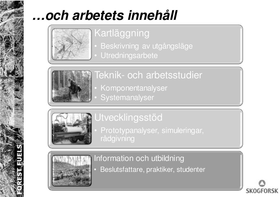 Systemanalyser Utvecklingsstöd Prototypanalyser, simuleringar,