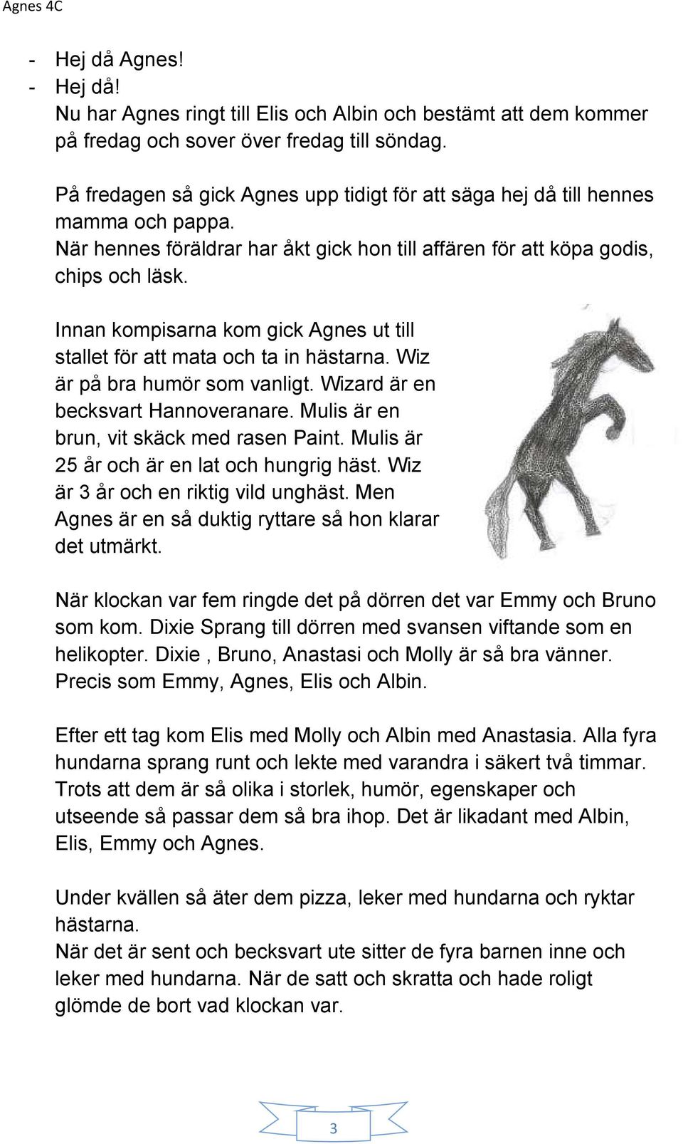 Innan kompisarna kom gick Agnes ut till stallet för att mata och ta in hästarna. Wiz är på bra humör som vanligt. Wizard är en becksvart Hannoveranare. Mulis är en brun, vit skäck med rasen Paint.