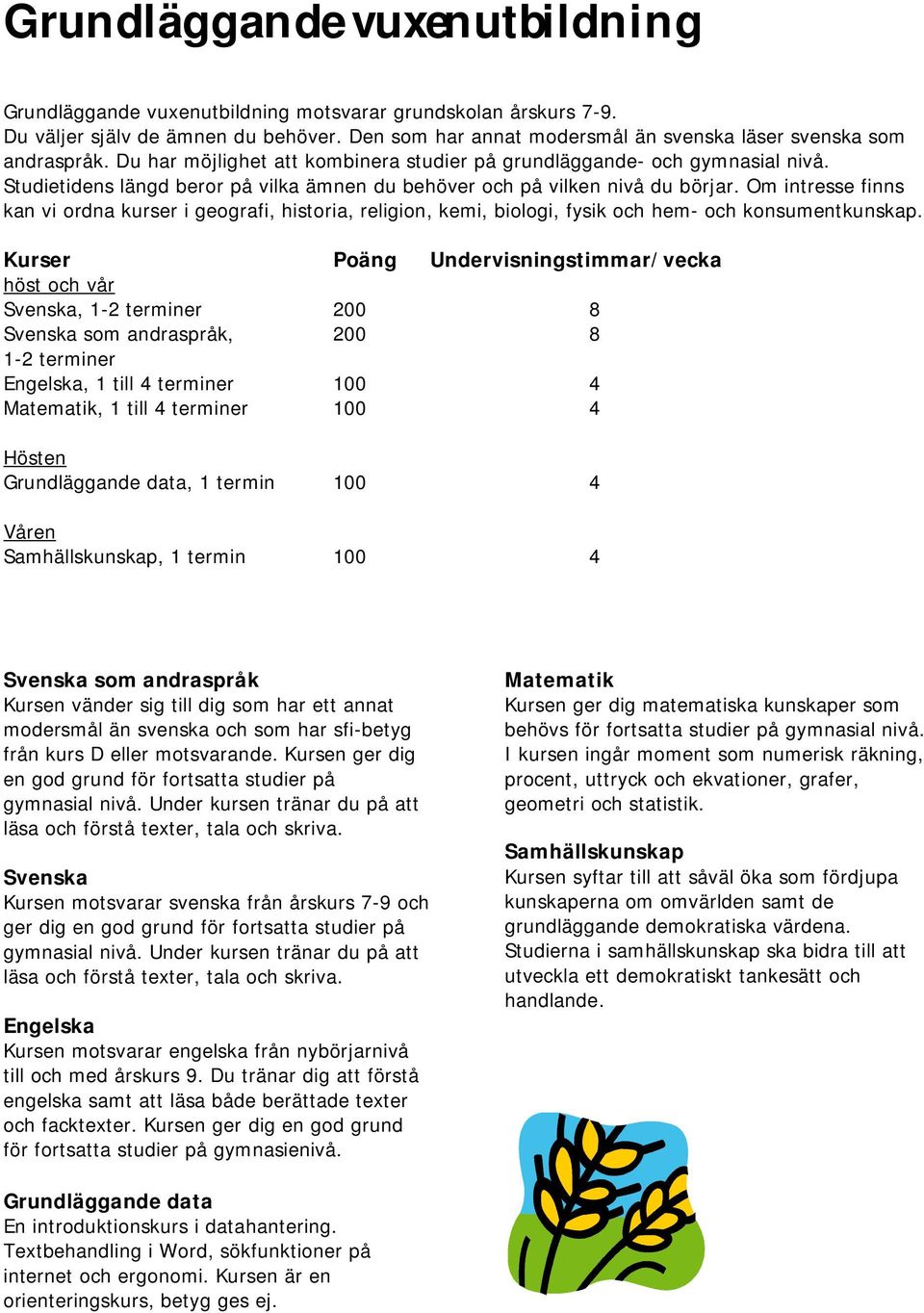 Om intresse finns kan vi ordna kurser i geografi, historia, religion, kemi, biologi, fysik och hem- och konsumentkunskap.