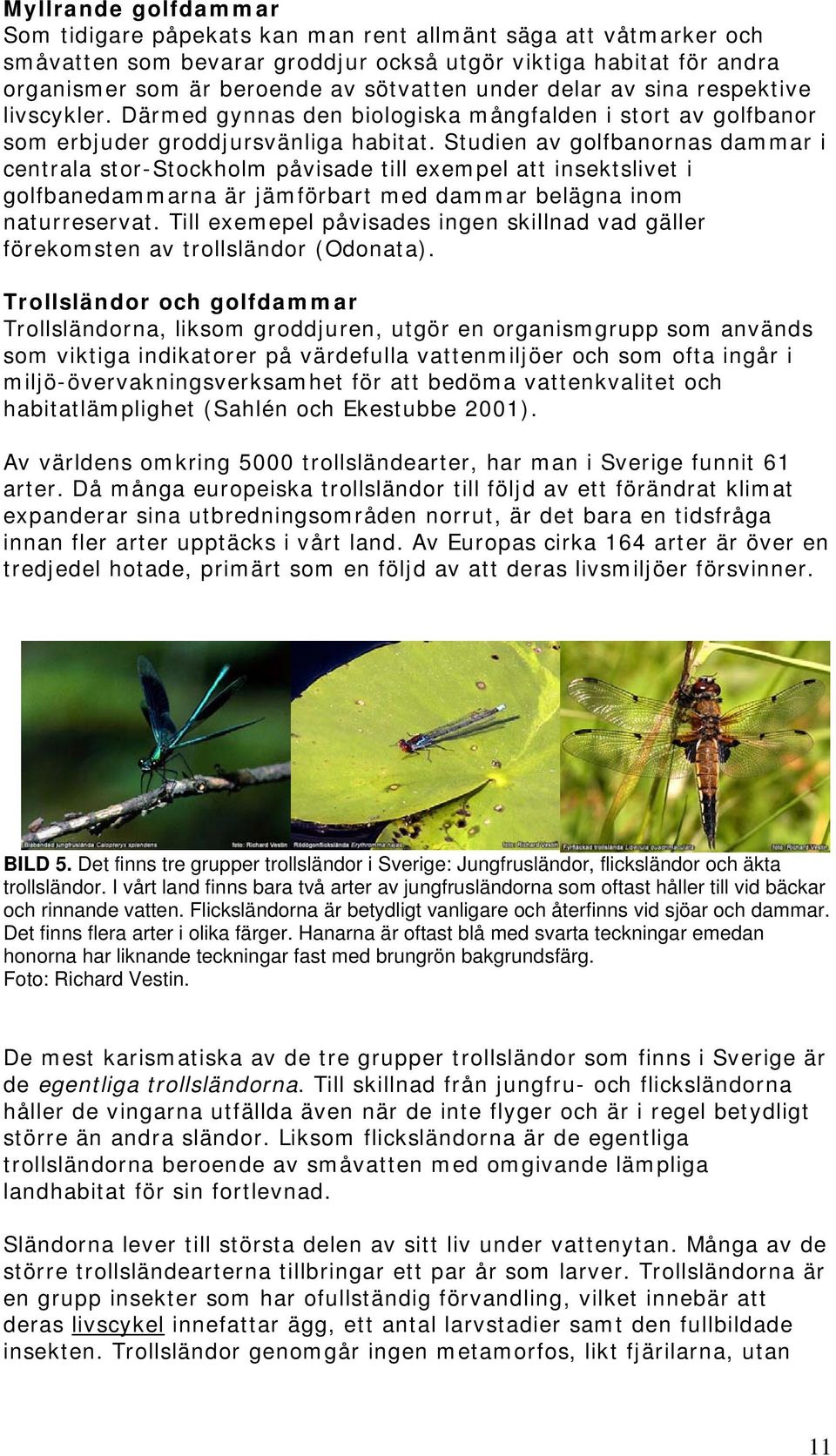 Studien av golfbanornas dammar i centrala stor-stockholm påvisade till exempel att insektslivet i golfbanedammarna är jämförbart med dammar belägna inom naturreservat.