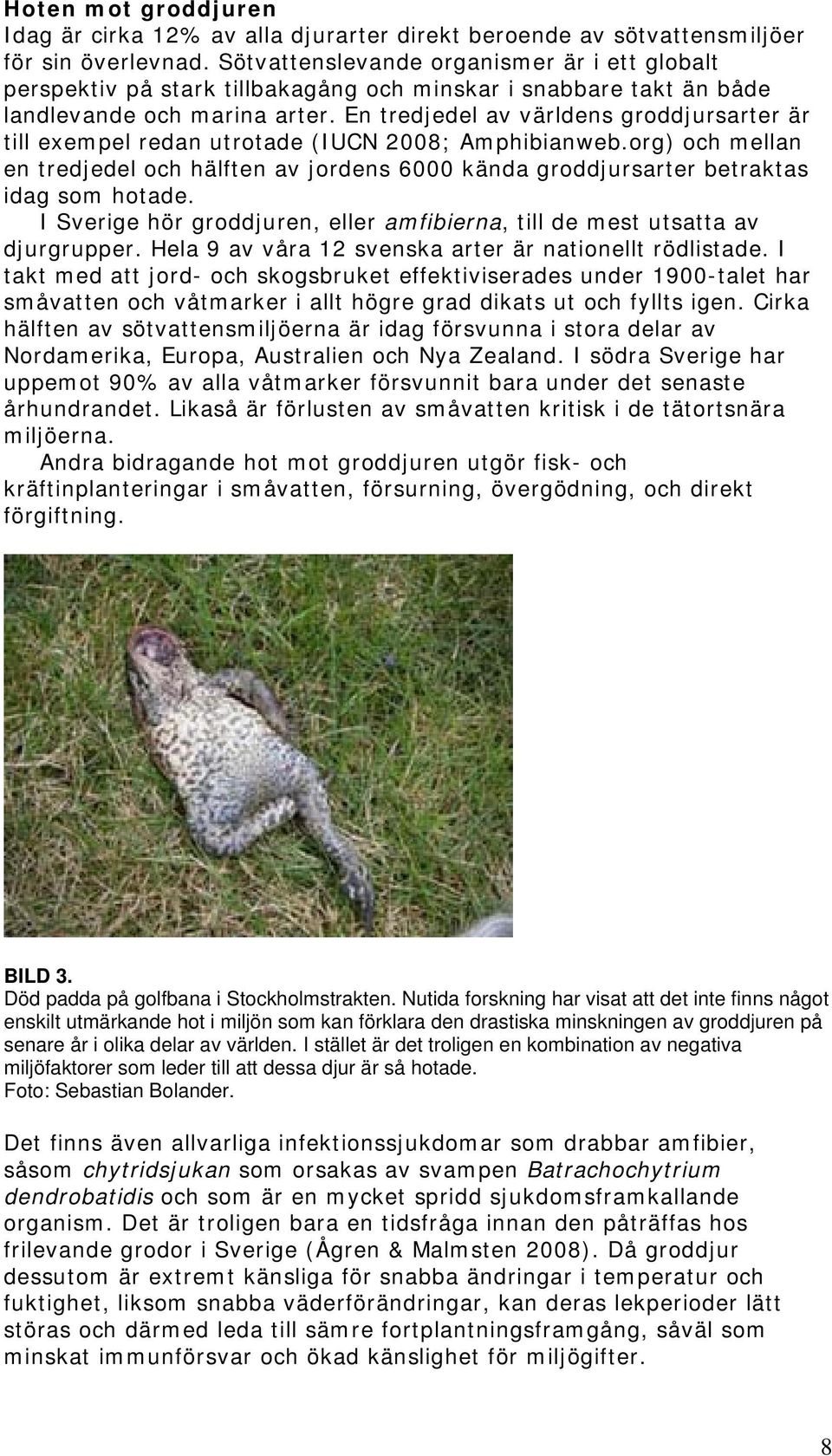 En tredjedel av världens groddjursarter är till exempel redan utrotade (IUCN 2008; Amphibianweb.org) och mellan en tredjedel och hälften av jordens 6000 kända groddjursarter betraktas idag som hotade.