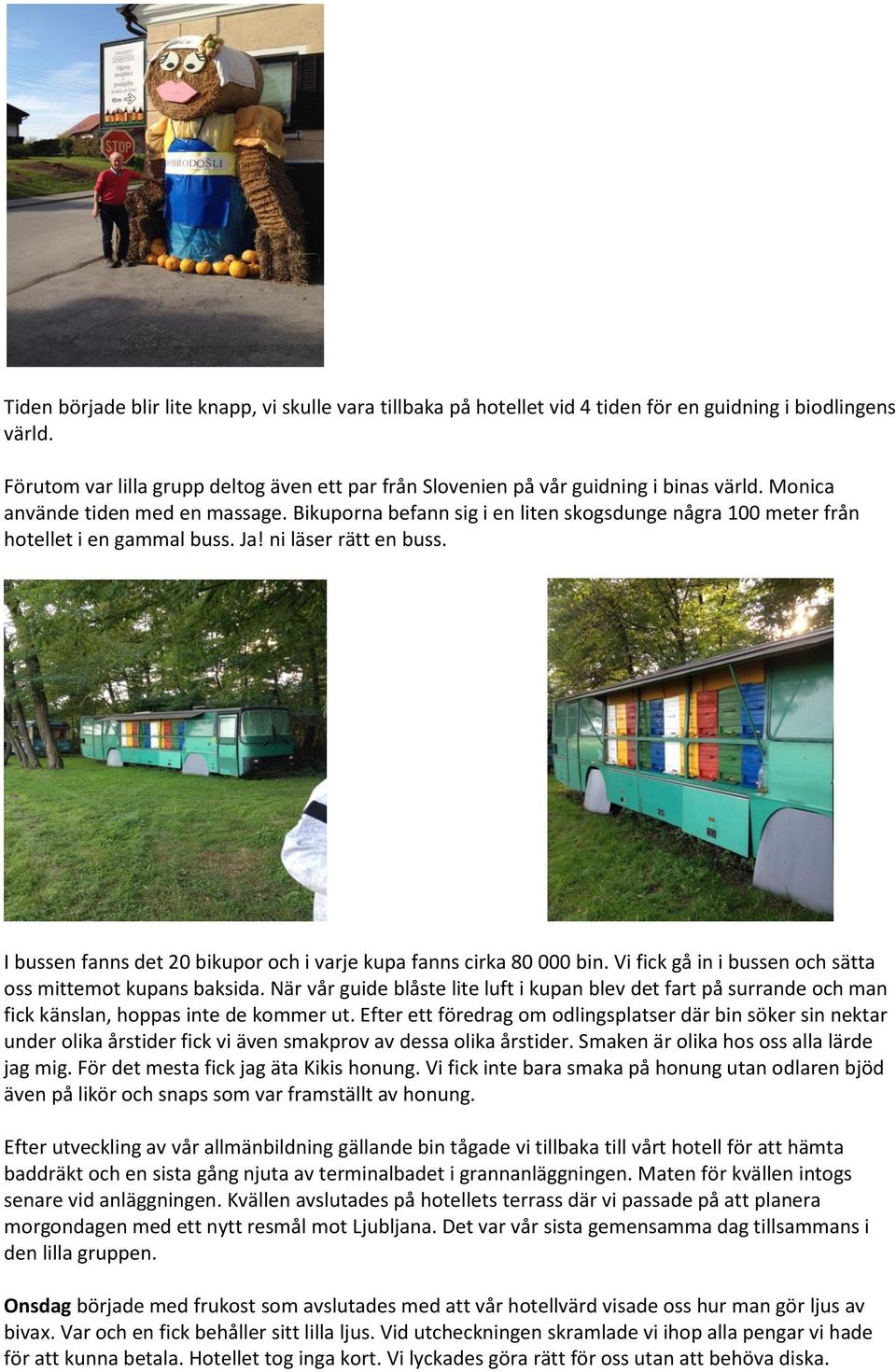 Bikuporna befann sig i en liten skogsdunge några 100 meter från hotellet i en gammal buss. Ja! ni läser rätt en buss. I bussen fanns det 20 bikupor och i varje kupa fanns cirka 80 000 bin.