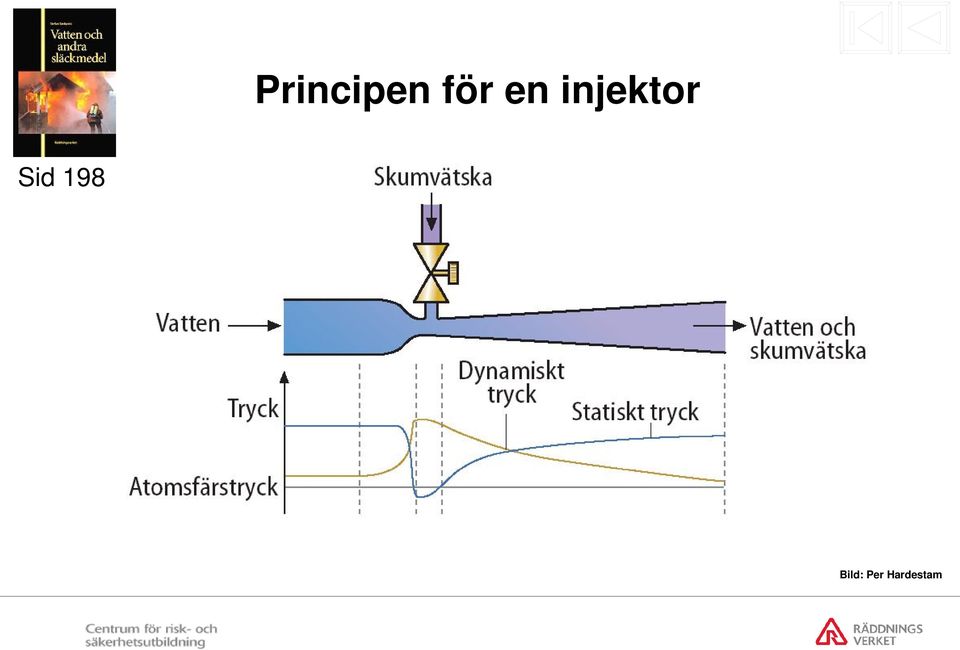 Sid 198 Bild: