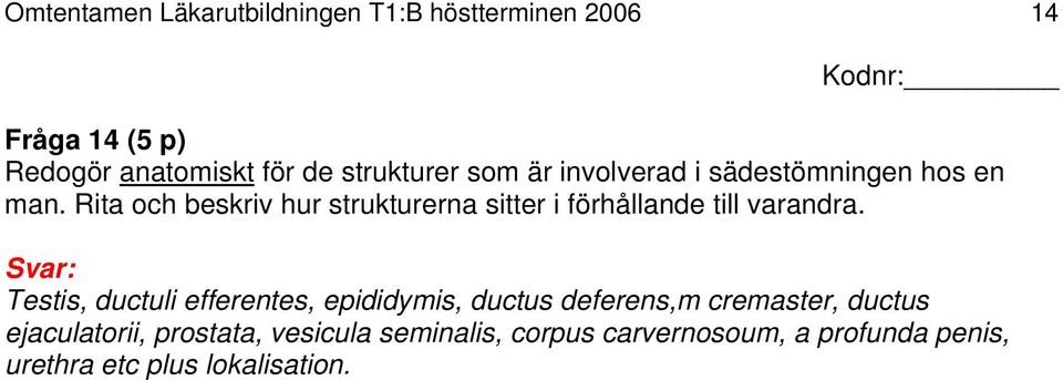 Rita och beskriv hur strukturerna sitter i förhållande till varandra.