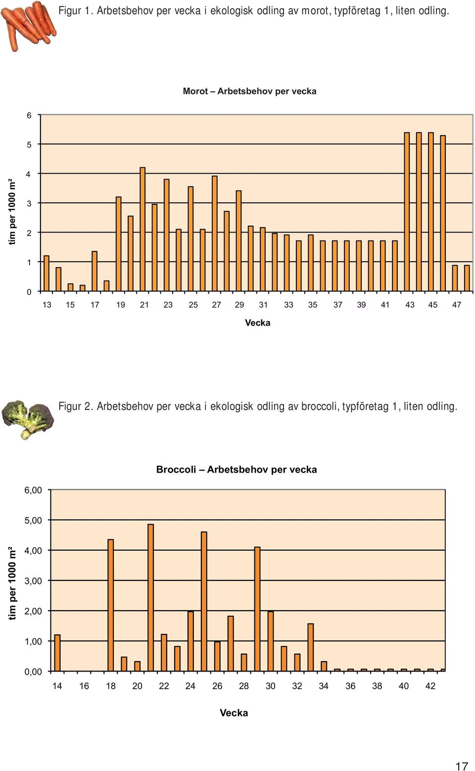 45 47 Vecka Figur 2. Arbetsbehov per vecka i ekologisk odling av broccoli, typföretag 1, liten odling.