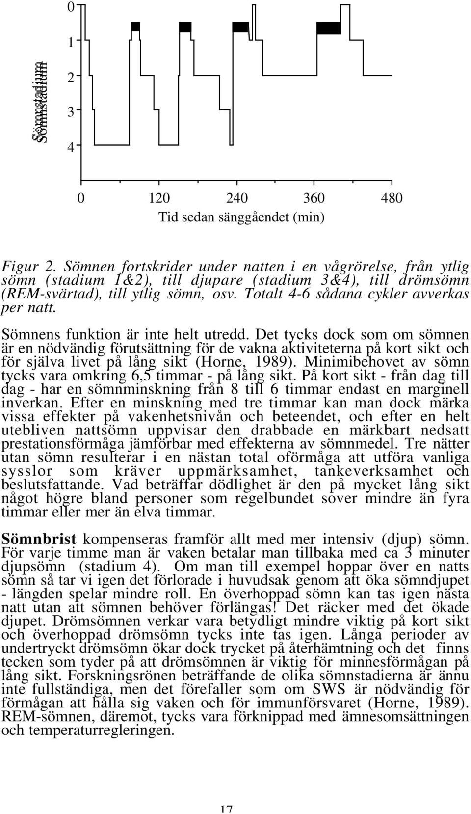 Totalt 4-6 sådana cykler avverkas per natt. Sömnens funktion är inte helt utredd.