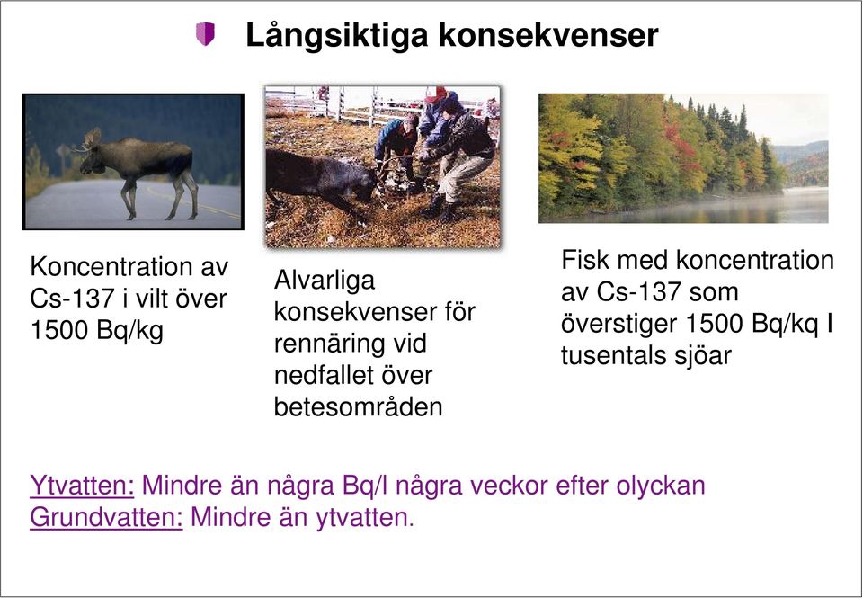 med koncentration av Cs-137 som överstiger 1500 Bq/kq I tusentals sjöar