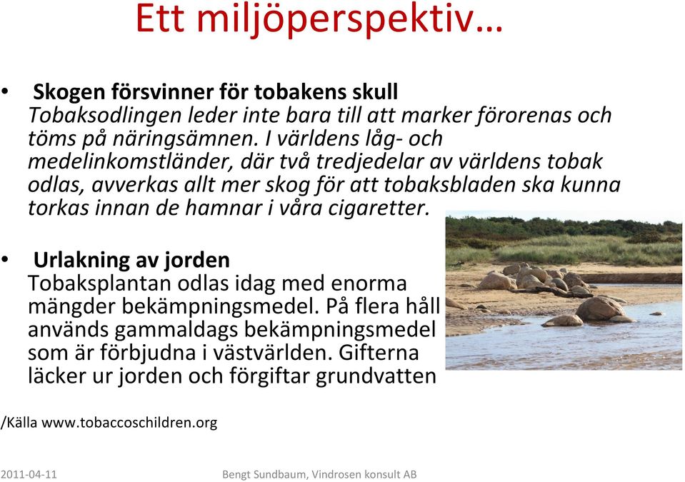 torkas innan de hamnar i våra cigaretter. Urlakning av jorden Tobaksplantan odlas idag med enorma mängder bekämpningsmedel.