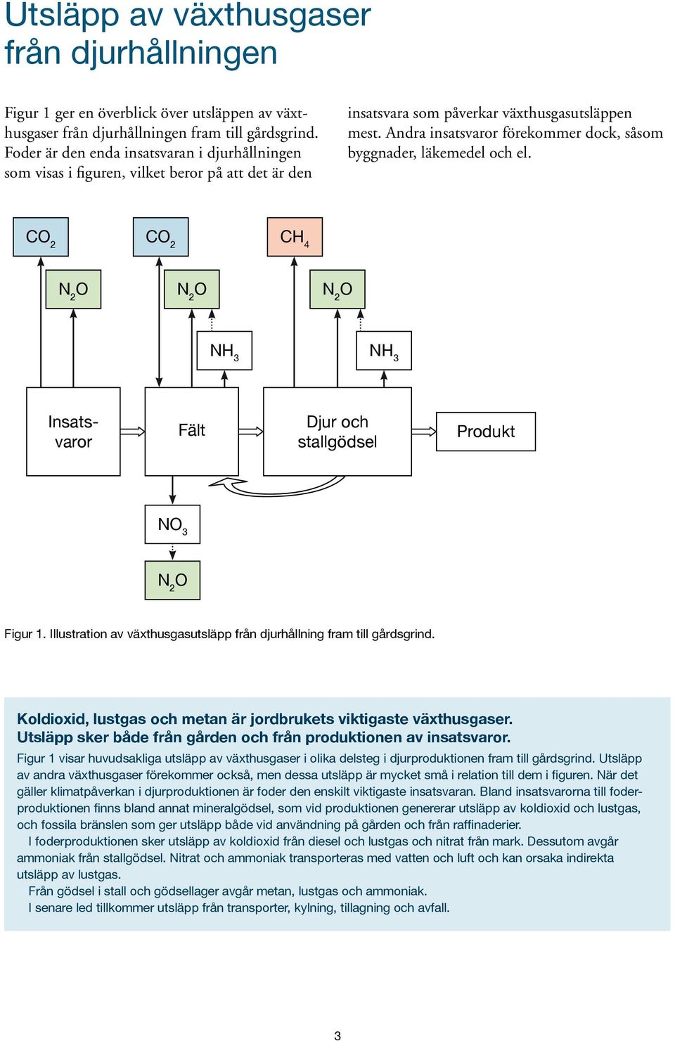 Andra insatsvaror förekommer dock, såsom byggnader, läkemedel och el. CO 2 CO 2 CH 4 N 2 O N 2 O N 2 O NH 3 NH 3 Insatsvaror Fält Djur och stallgödsel Produkt NO 3 N 2 O Figur 1.