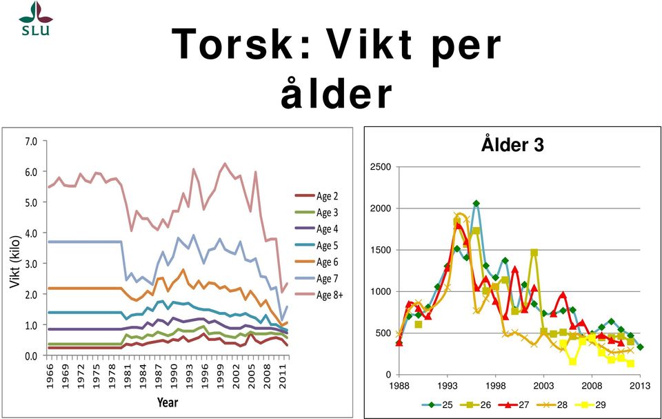 0 Year Torsk: Vikt per ålder 2500 Ålder 3 Age 2 Age 3 Age 4 Age 5 Age 6