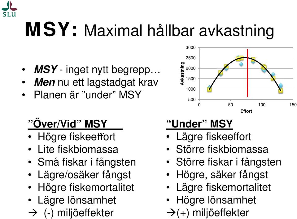 i fångsten Lägre/osäker fångst Högre fiskemortalitet Lägre lönsamhet (-) miljöeffekter Under MSY Lägre fiskeeffort