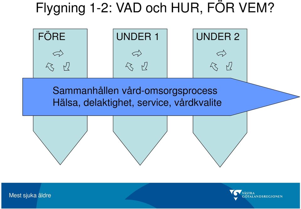 Sammanhållen vård-omsorgsprocess