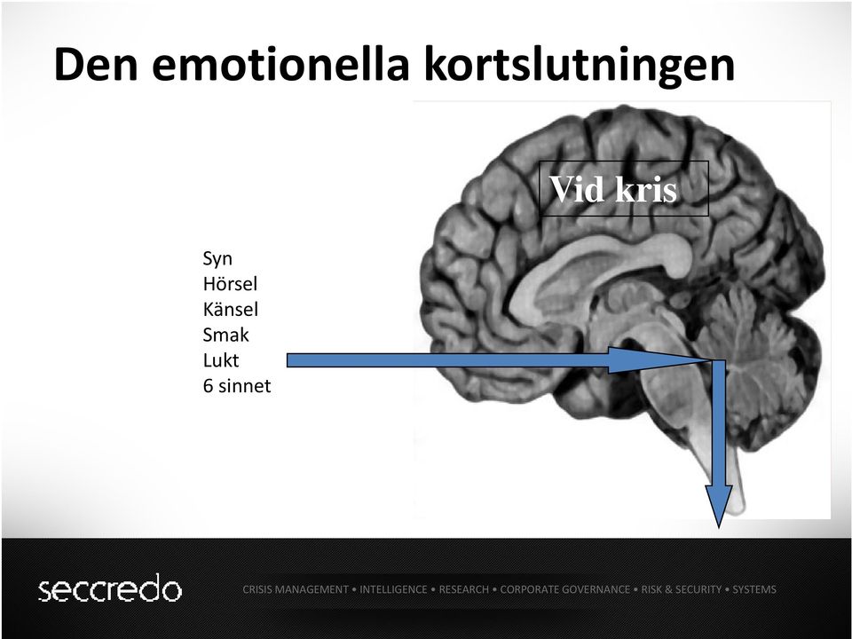 Hörsel Känsel Smak