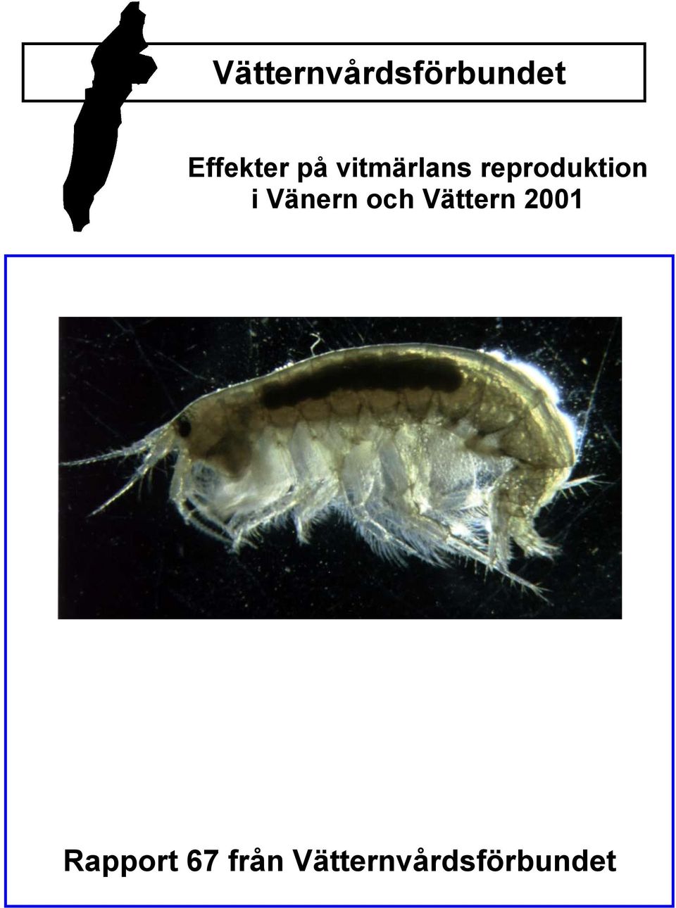 reproduktion i Vänern och