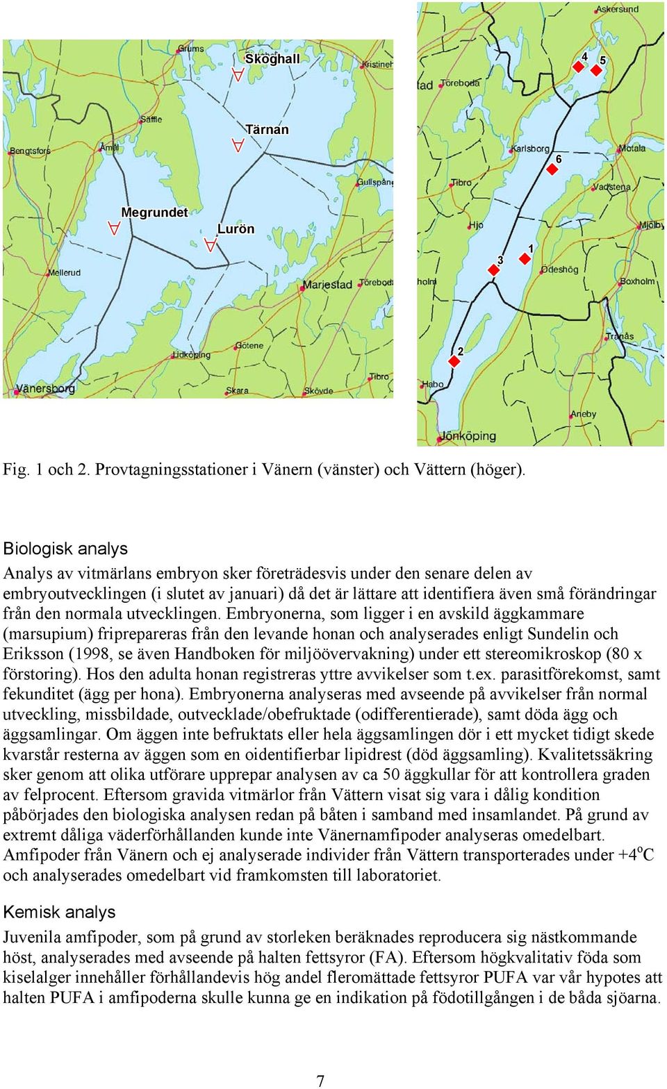 normala utvecklingen.