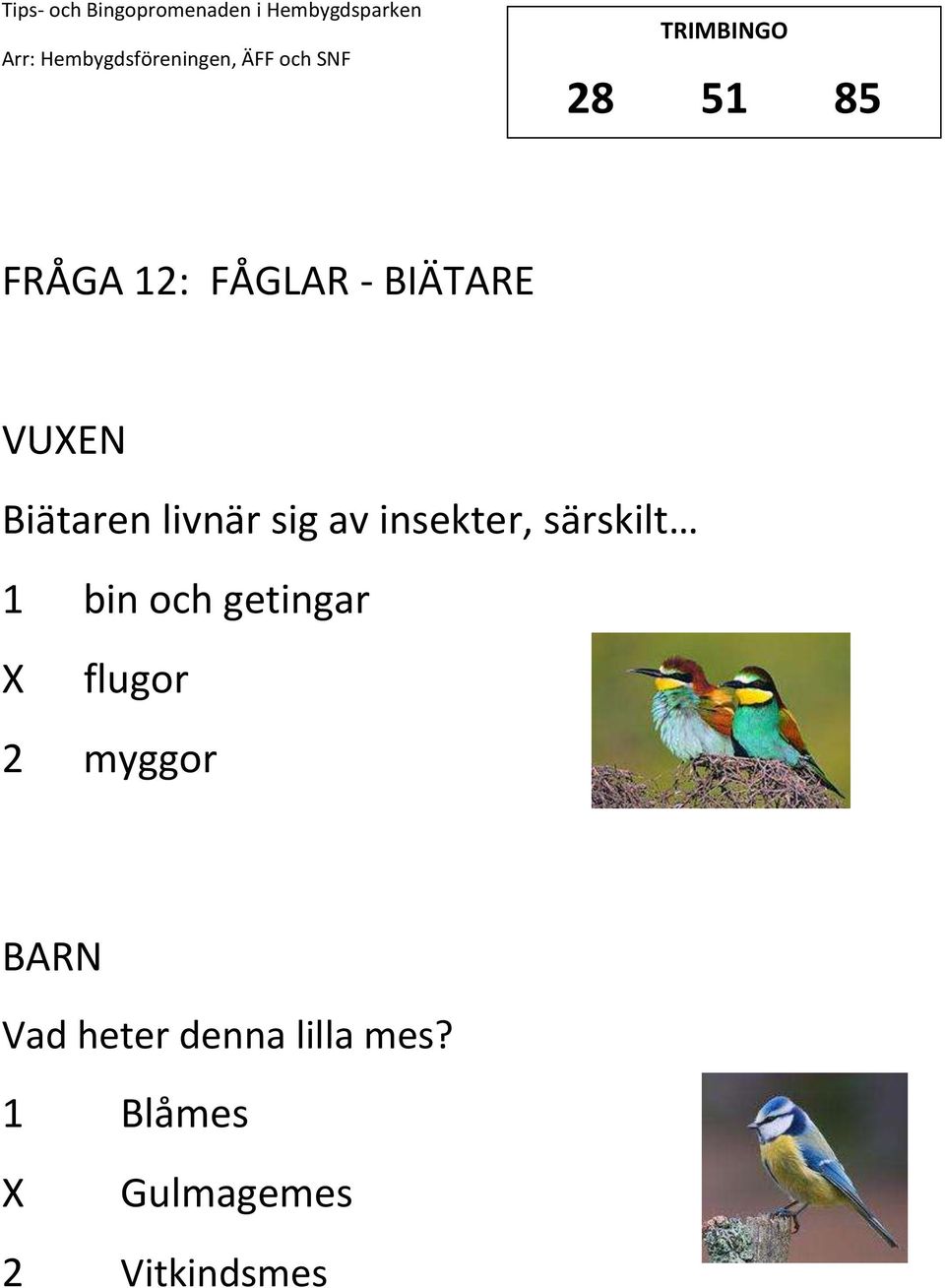 bin och getingar flugor 2 myggor Vad heter