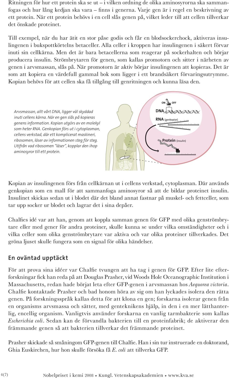 Till exempel, när du har ätit en stor påse godis och får en blodsockerchock, aktiveras insulingenen i bukspottkörtelns betaceller.