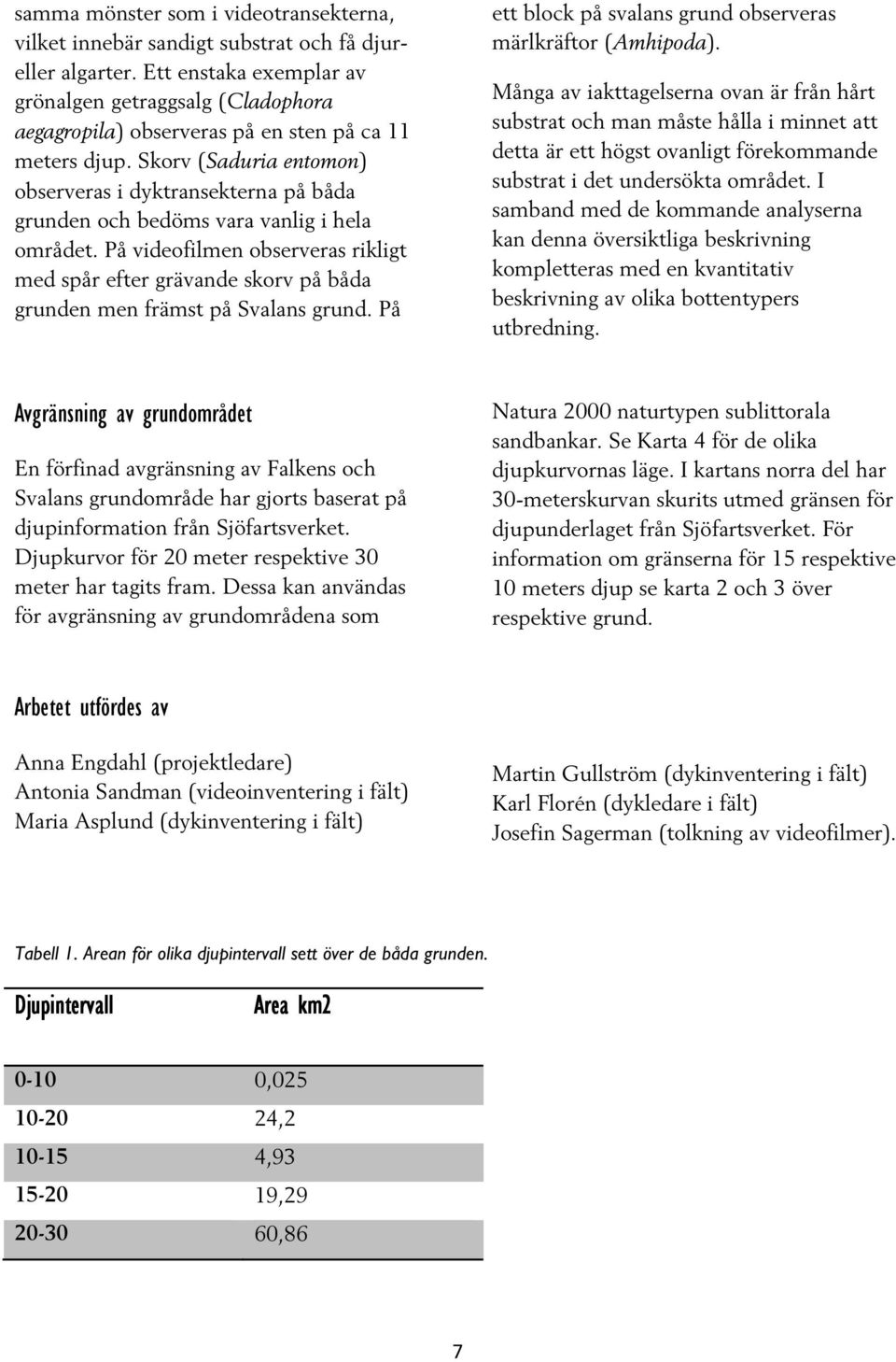 Skorv (Saduria entomon) observeras i dyktransekterna på båda grunden och bedöms vara vanlig i hela området.