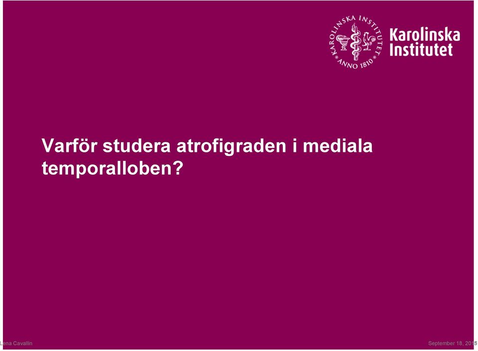 mediala temporalloben?