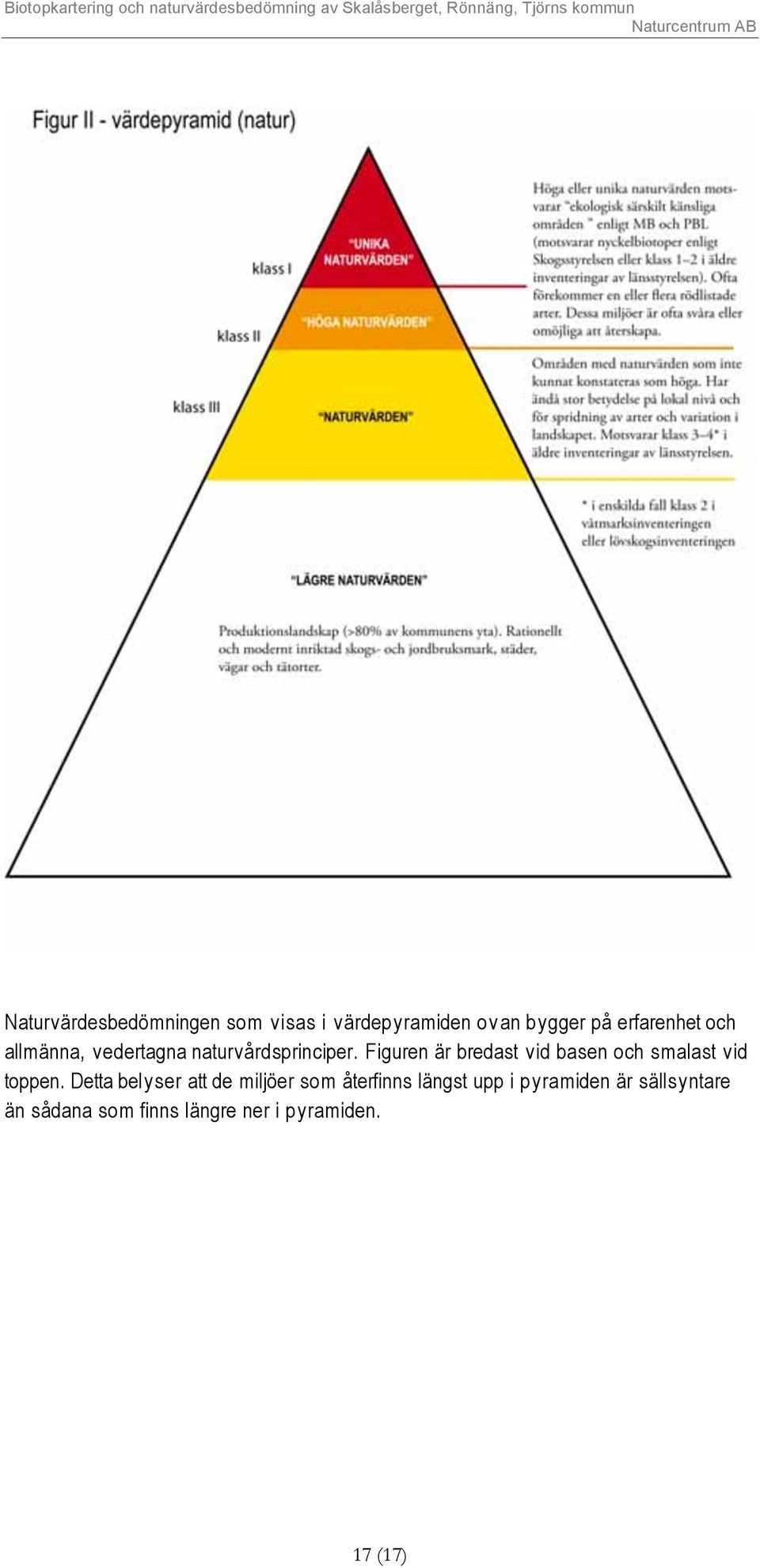 Figuren är bredast vid basen och smalast vid toppen.