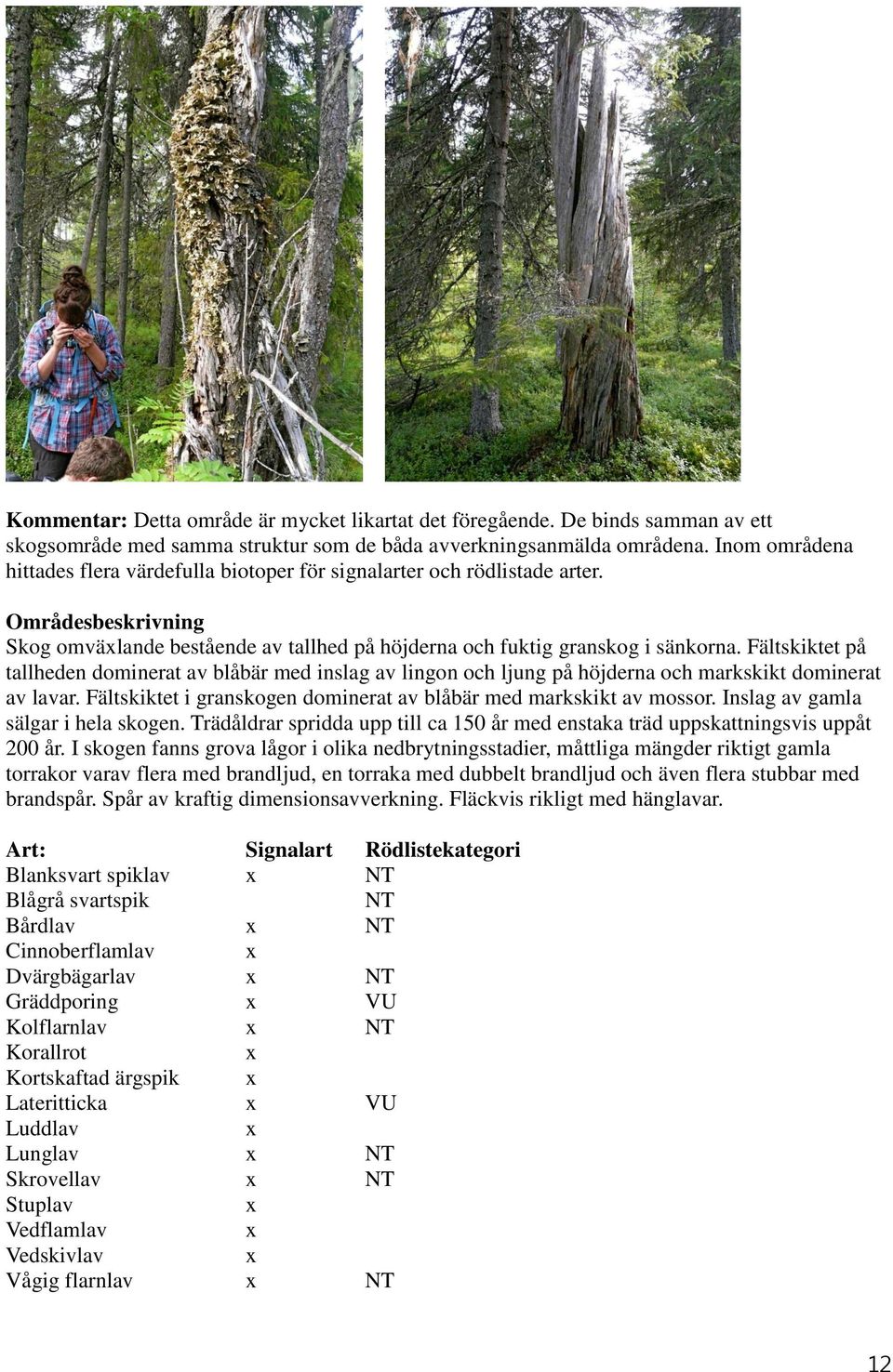 Fältskiktet på tallheden dominerat av blåbär med inslag av lingon och ljung på höjderna och markskikt dominerat av lavar. Fältskiktet i granskogen dominerat av blåbär med markskikt av mossor.