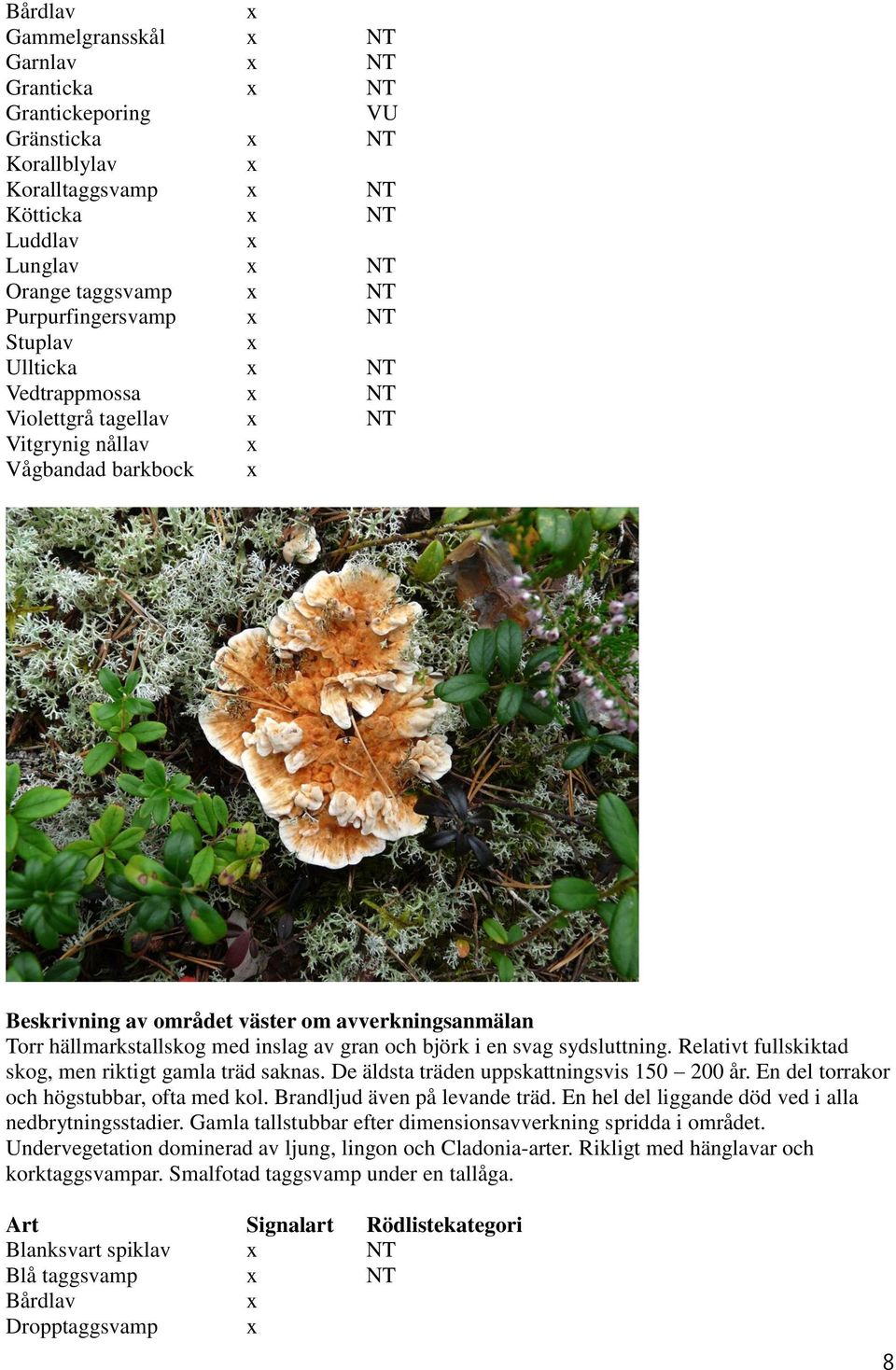 Relativt fullskiktad skog, men riktigt gamla träd saknas. De äldsta träden uppskattningsvis 150 200 år. En del torrakor och högstubbar, ofta med kol. Brandljud även på levande träd.