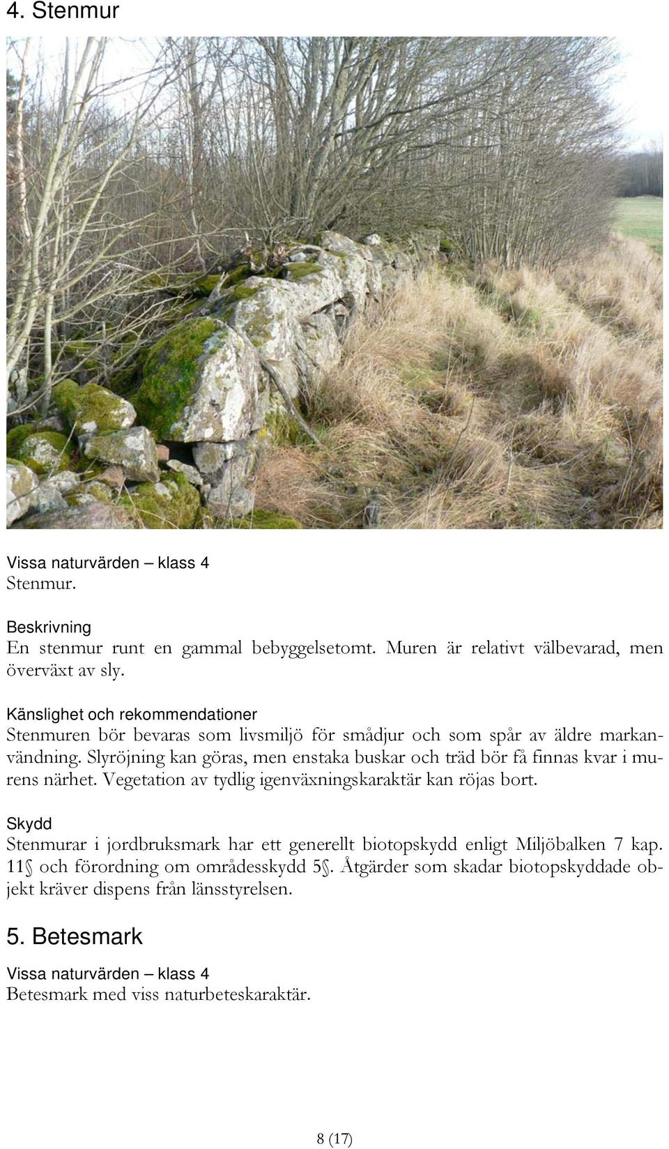 Slyröjning kan göras, men enstaka buskar och träd bör få finnas kvar i murens närhet. Vegetation av tydlig igenväxningskaraktär kan röjas bort.