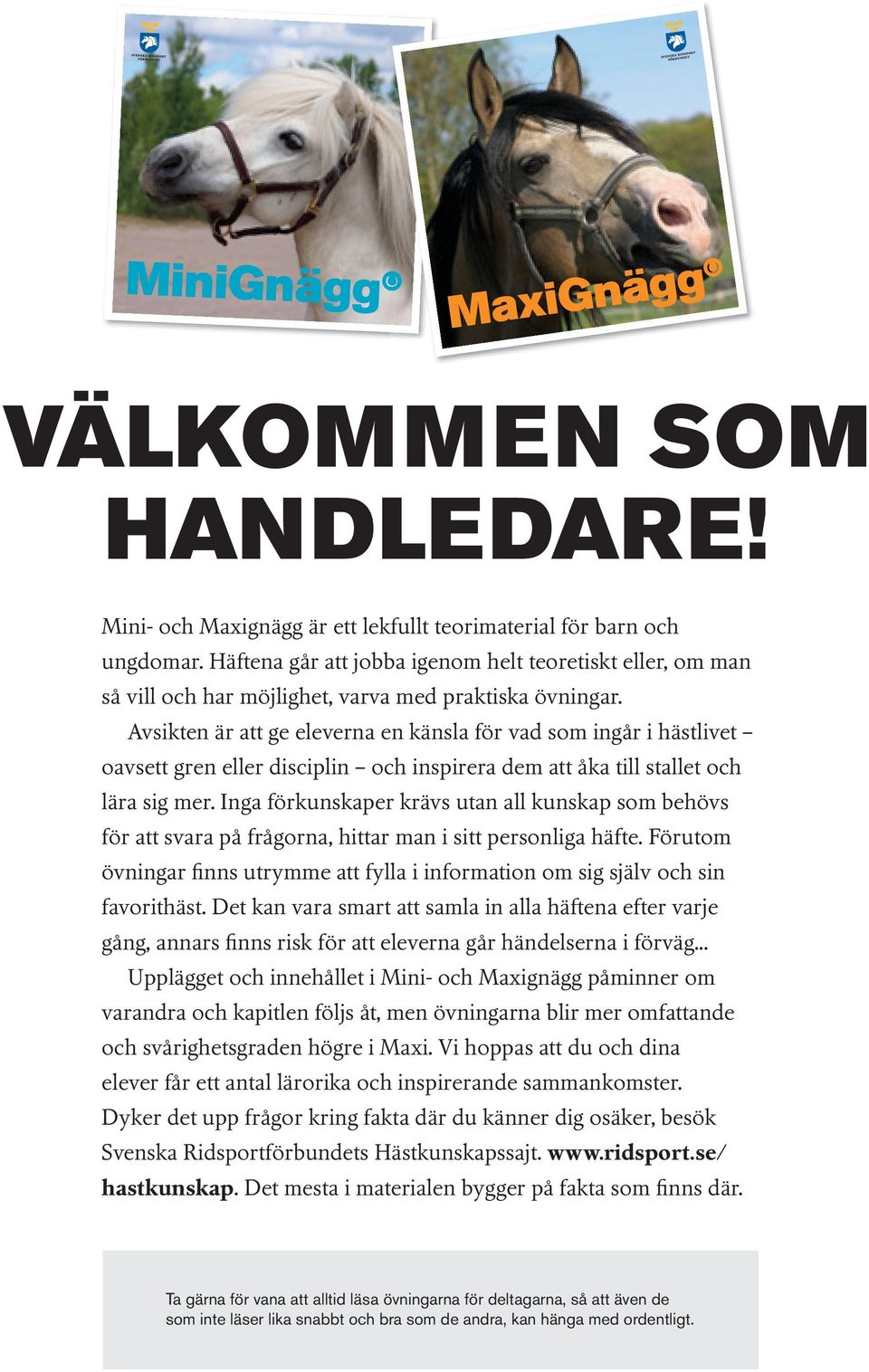 Avsikten är att ge eleverna en känsla för vad som ingår i hästlivet oavsett gren eller disciplin och inspirera dem att åka till stallet och lära sig mer.