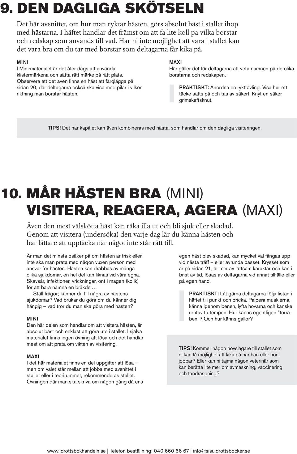 Har ni inte möjlighet att vara i stallet kan det vara bra om du tar med borstar som deltagarna får kika på.