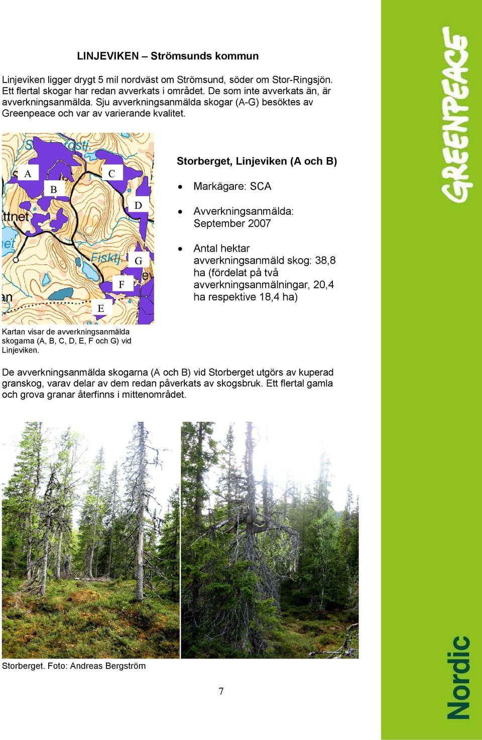 Storberget, Linjeviken (A och B) A C B D G F Markägare: SCA Avverkningsanmälda: September 2007 Antal hektar avverkningsanmäld skog: 38,8 ha (fördelat på två avverkningsanmälningar, 20,4 ha respektive