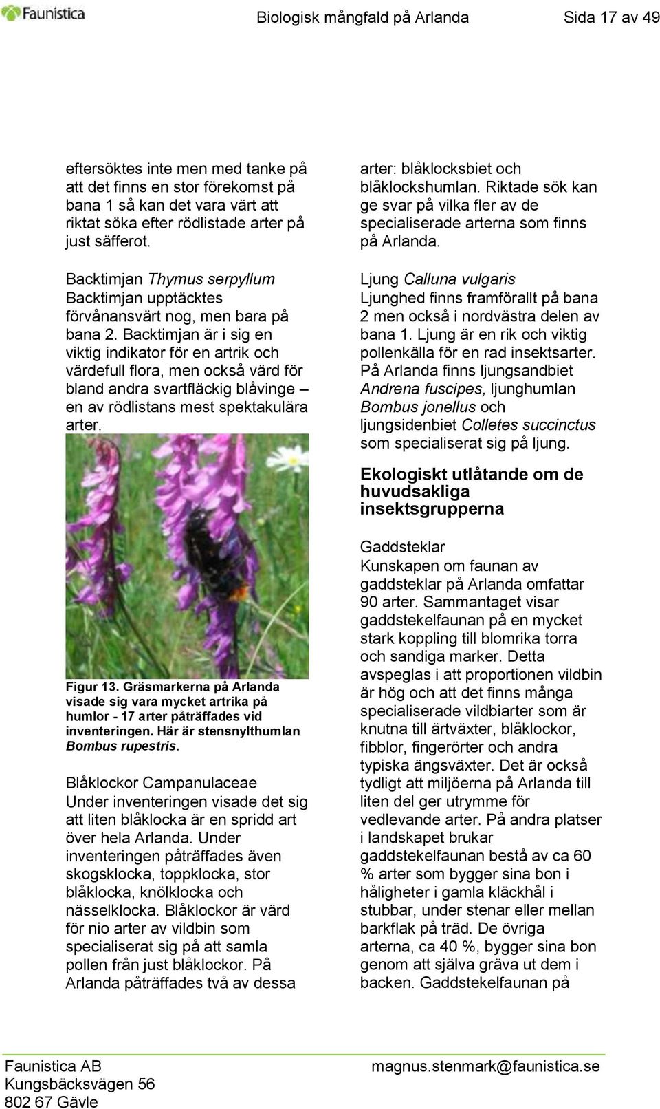 Backtimjan är i sig en viktig indikator för en artrik och värdefull flora, men också värd för bland andra svartfläckig blåvinge en av rödlistans mest spektakulära arter. Figur 13.