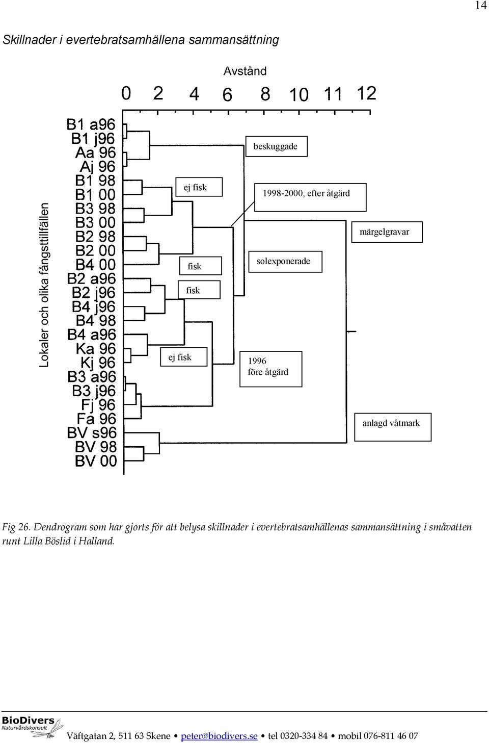 Dendrogram som har gjorts för att belysa skillnader i evertebratsamhällenas sammansättning i