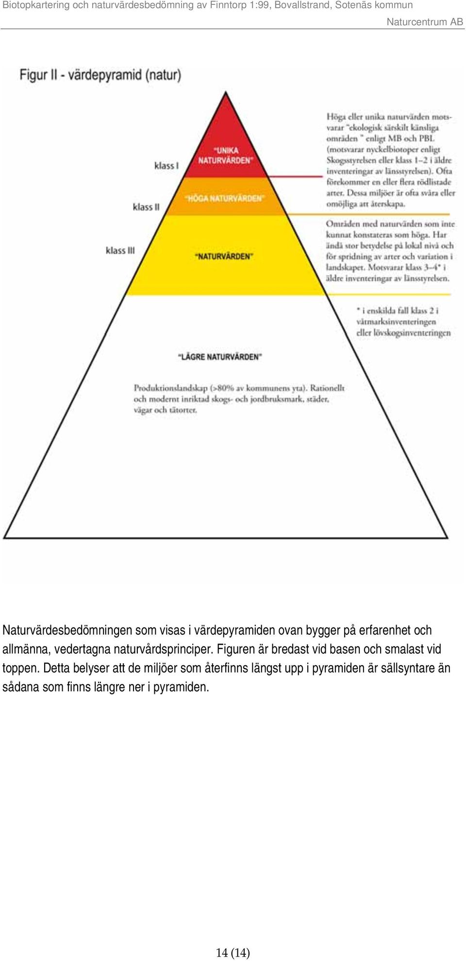 Figuren är bredast vid basen och smalast vid toppen.