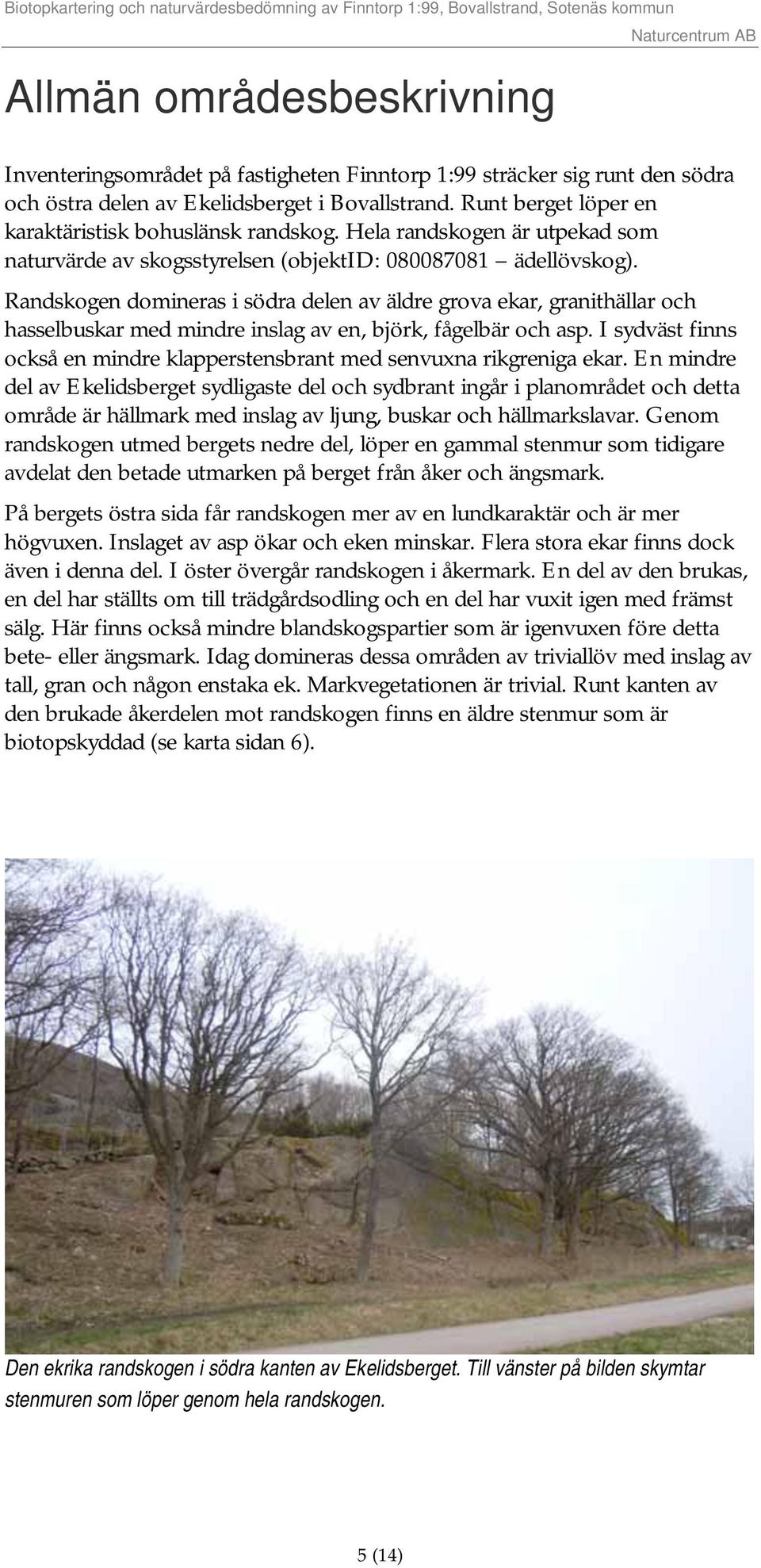 Randskogen domineras i södra delen av äldre grova ekar, granithällar och hasselbuskar med mindre inslag av en, björk, fågelbär och asp.