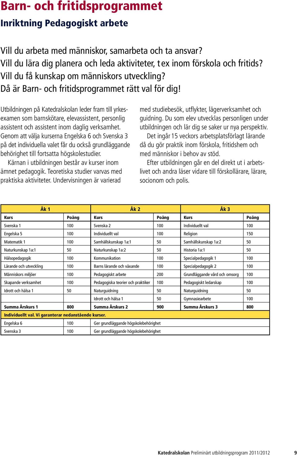 Utbildningen på Katedralskolan leder fram till yrkesexamen som barnskötare, elevassistent, personlig assistent och assistent inom daglig verksamhet.