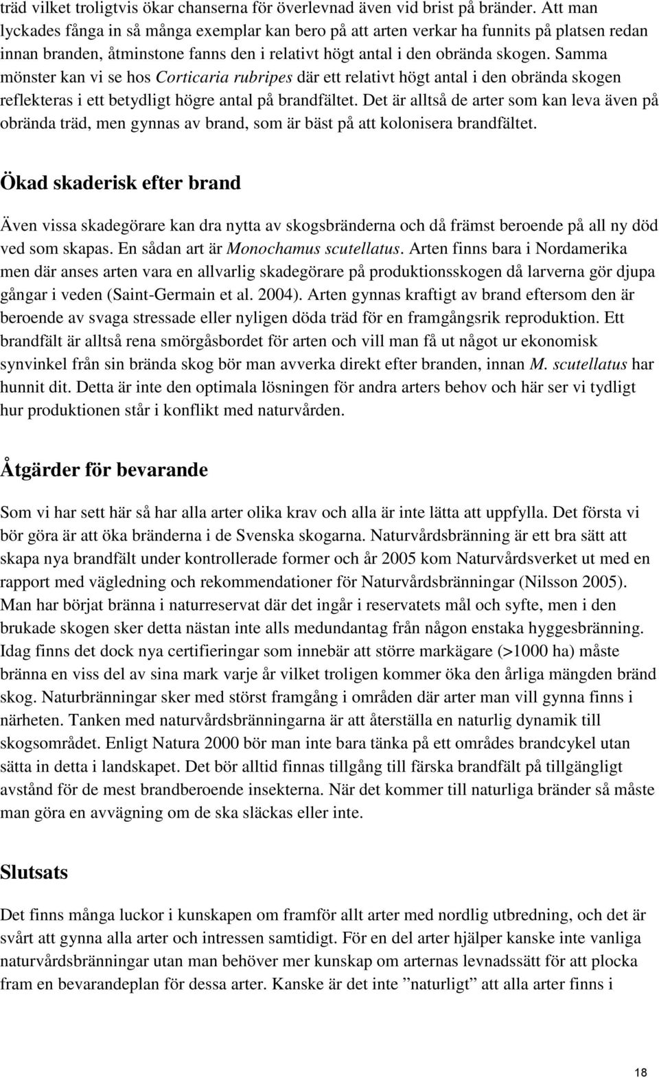 Samma mönster kan vi se hos Corticaria rubripes där ett relativt högt antal i den obrända skogen reflekteras i ett betydligt högre antal på brandfältet.