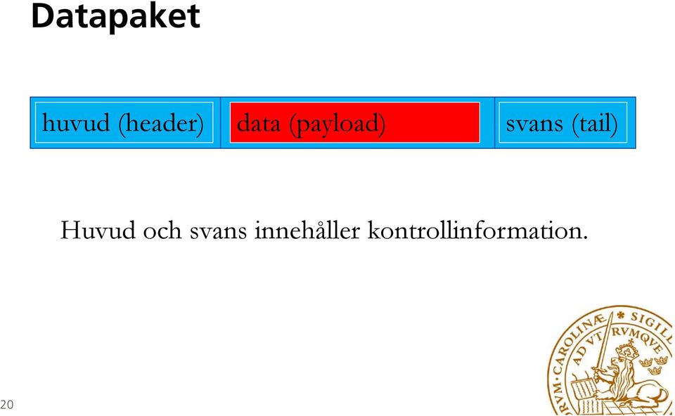 (tail) Huvud och svans