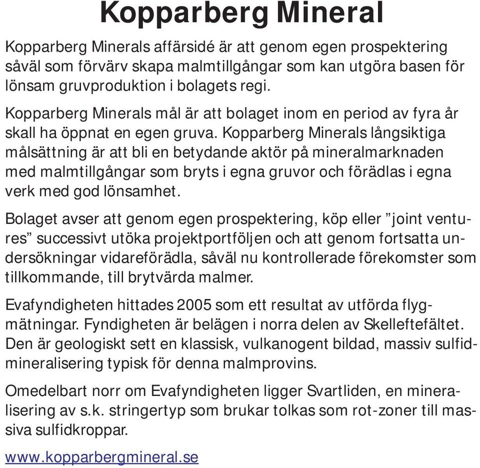 Kopparberg Minerals långsiktiga målsättning är att bli en betydande aktör på mineralmarknaden med malmtillgångar som bryts i egna gruvor och förädlas i egna verk med god lönsamhet.