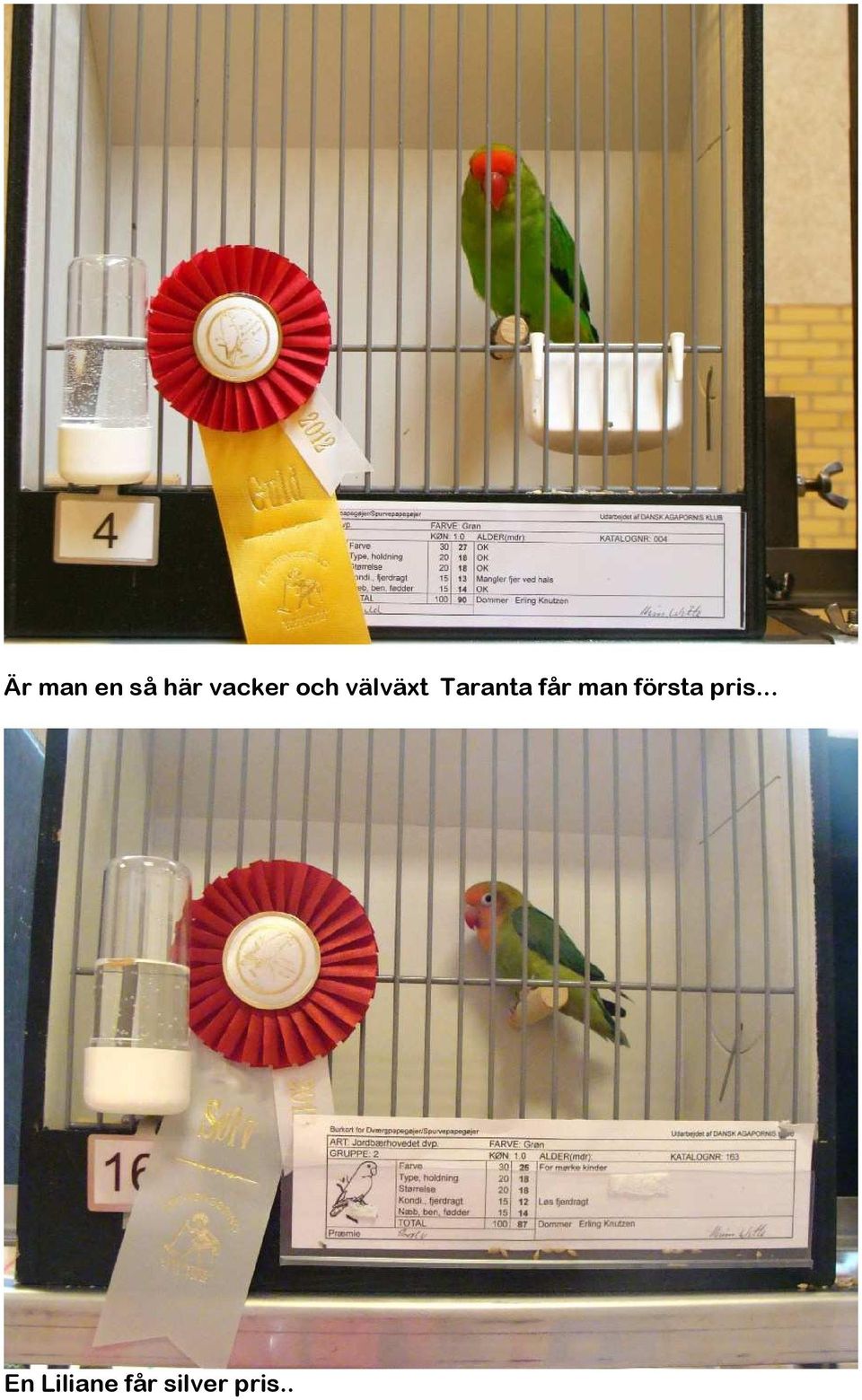 man första pris.