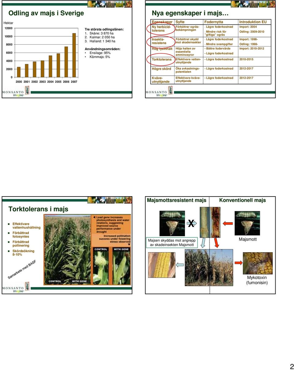 för Import: 2004 Odling: 2009-2010 giftiga ogräs Insektsresistens Förbättrat skydd mot skadeinsekter - Lägre foderkostnad - Mindre svampgifter Import: 1998- Odling: 1998- Hög lysinhalt Höja halten av