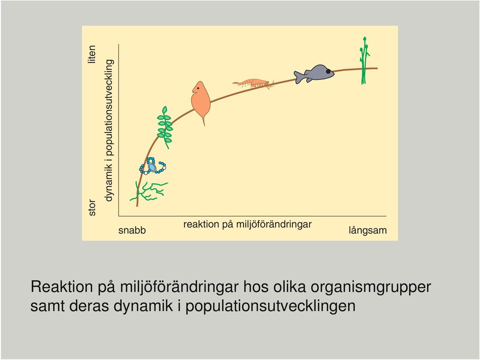 Reaktion på miljöförändringar hos olika