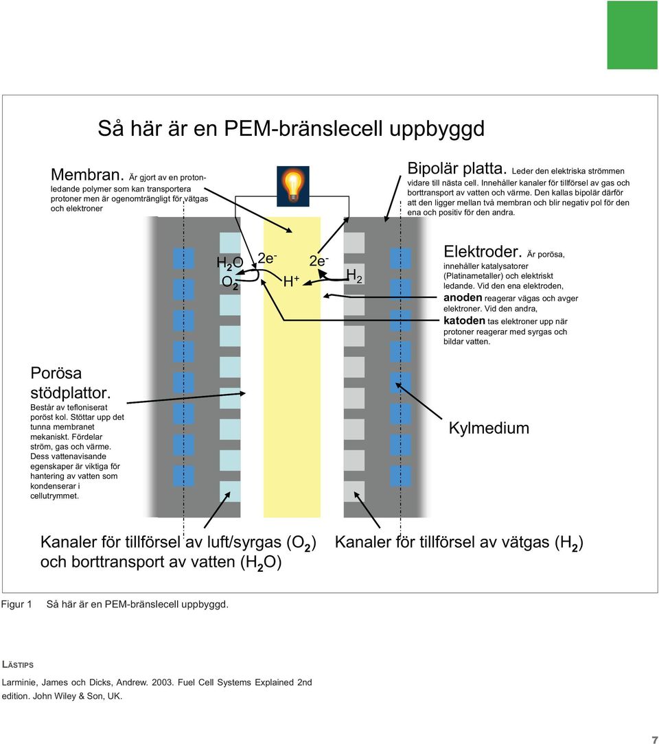 Den kallas bipolär därför att den ligger mellan två membran och blir negativ pol för den ena och positiv för den andra. H 2 O O 2 2e - 2e - H + H 2 Elektroder.