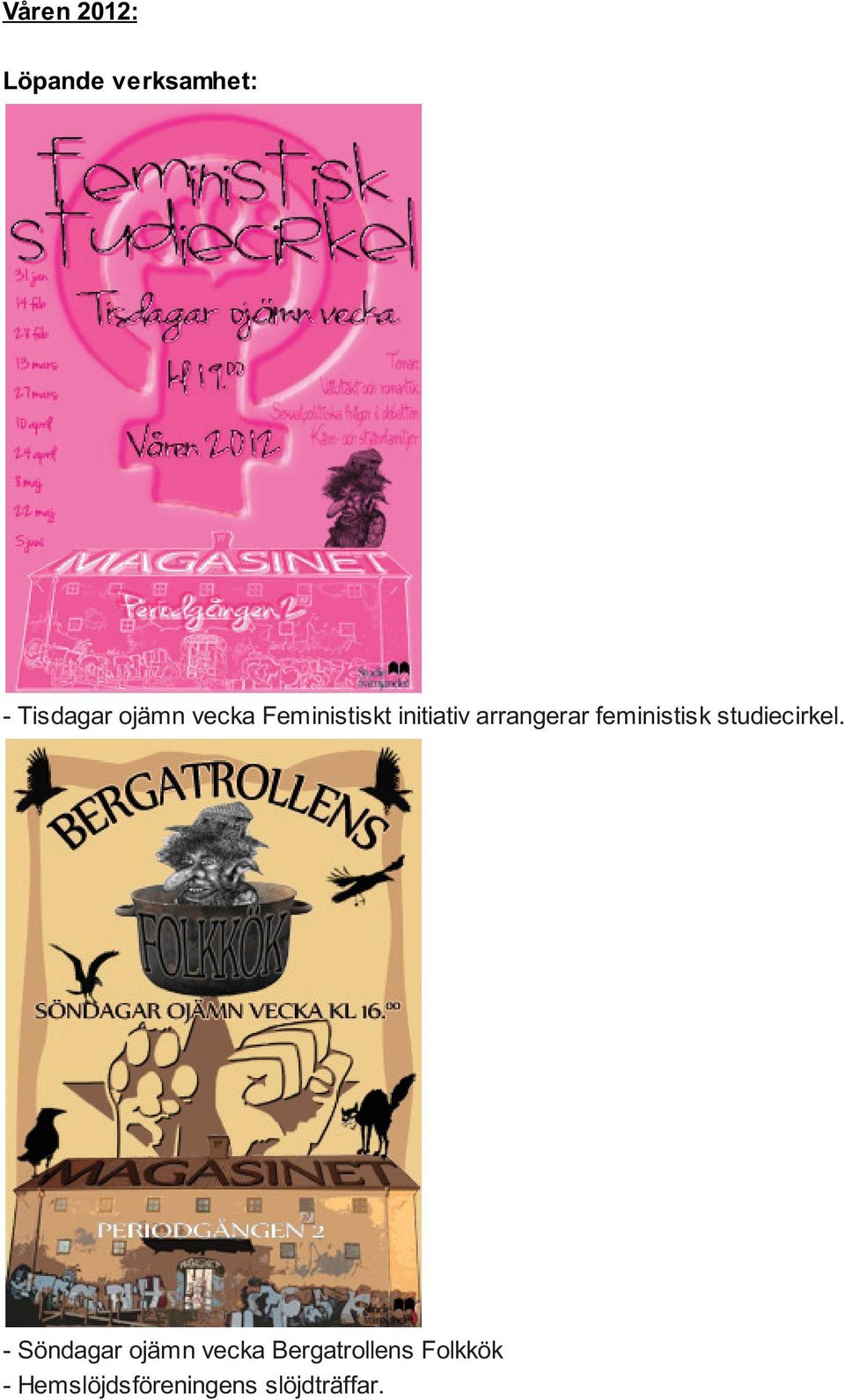 feministisk studiecirkel.