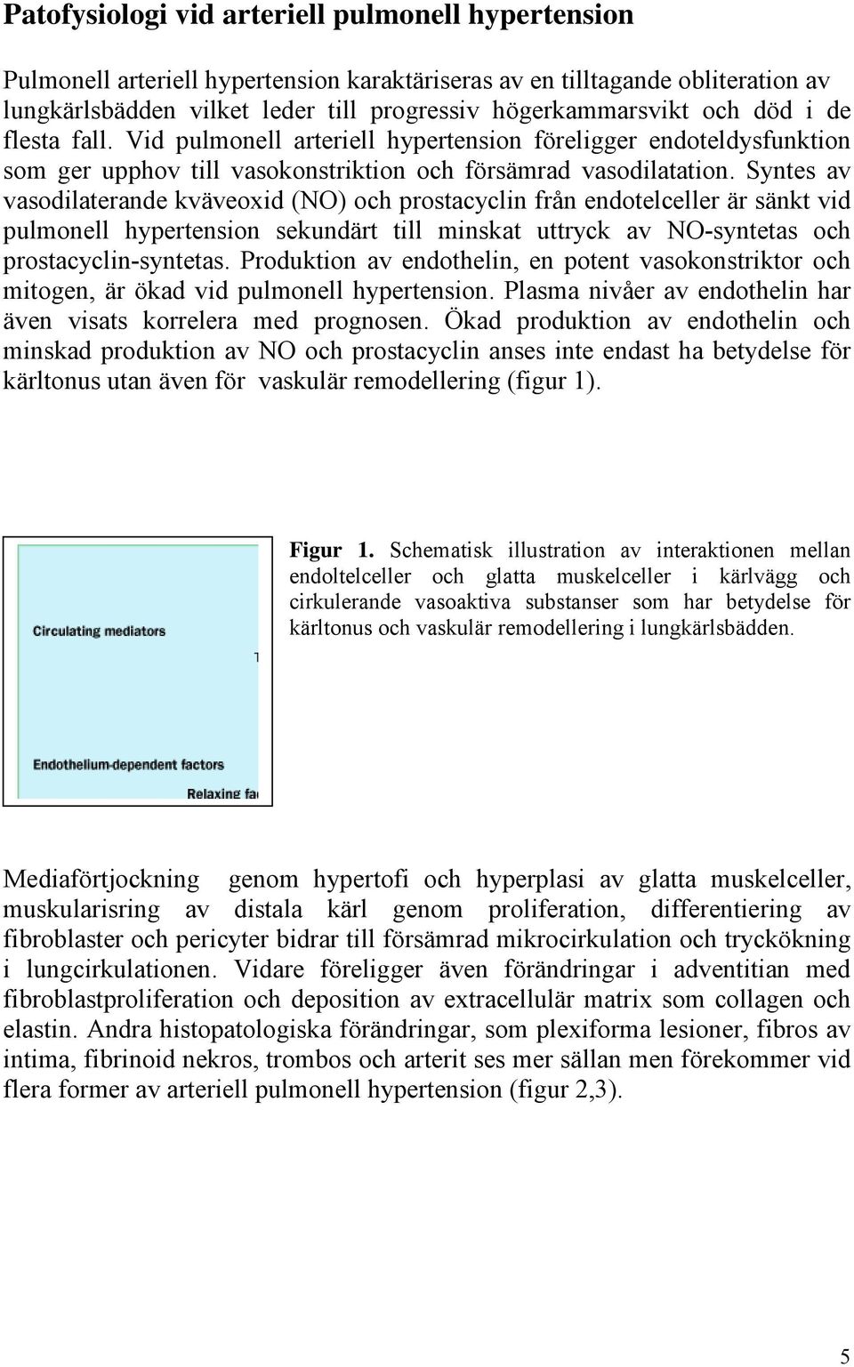 Syntes av vasodilaterande kväveoxid (NO) och prostacyclin från endotelceller är sänkt vid pulmonell hypertension sekundärt till minskat uttryck av NO-syntetas och prostacyclin-syntetas.