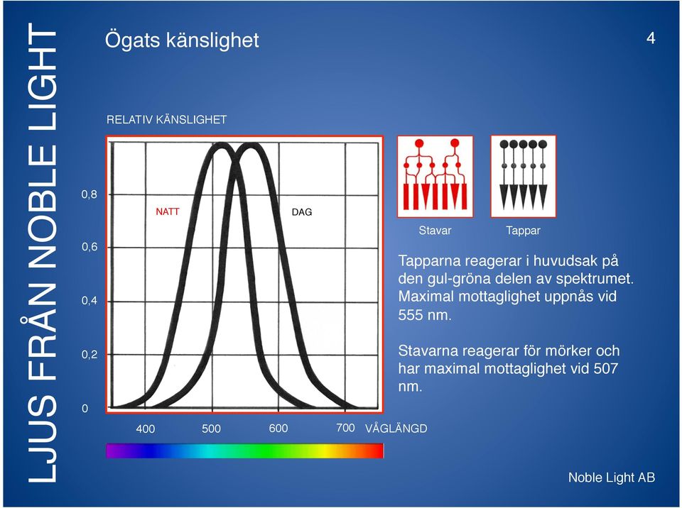 spektrumet. Maximal mottaglighet uppnås vid 555 nm.