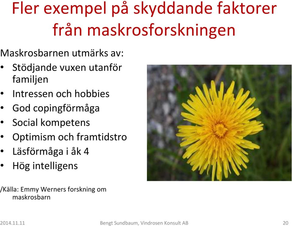 Social kompetens Optimism och framtidstro Läsförmåga i åk 4 Hög intelligens