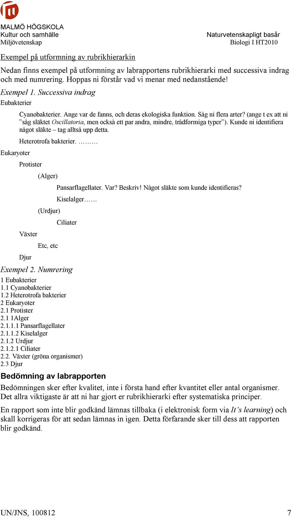 (ange t ex att ni såg släktet Oscillatoria, men också ett par andra, mindre, trådformiga typer ). Kunde ni identifiera något släkte tag alltså upp detta. Heterotrofa bakterier.