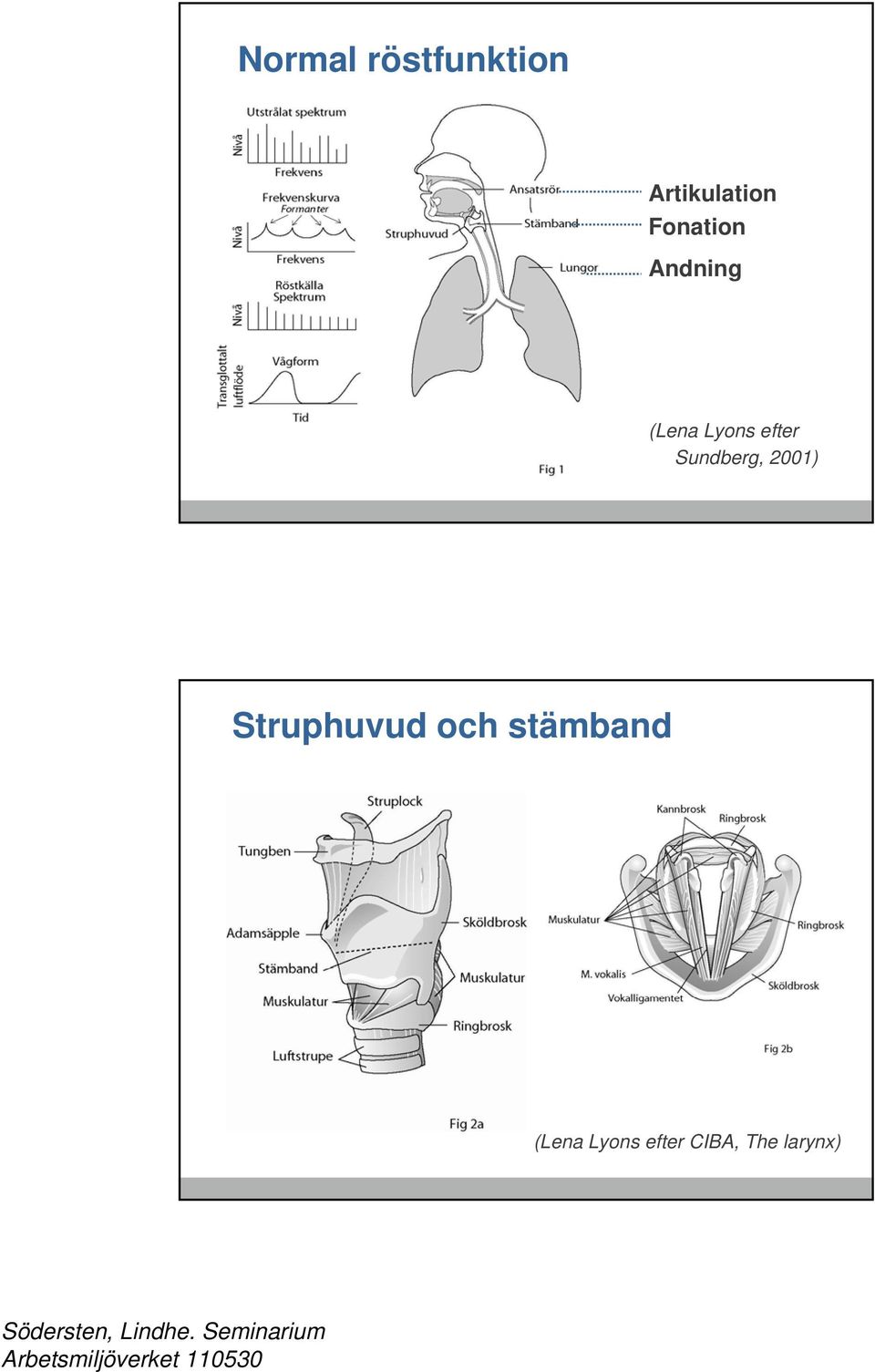 Sundberg, 2001) Struphuvud och