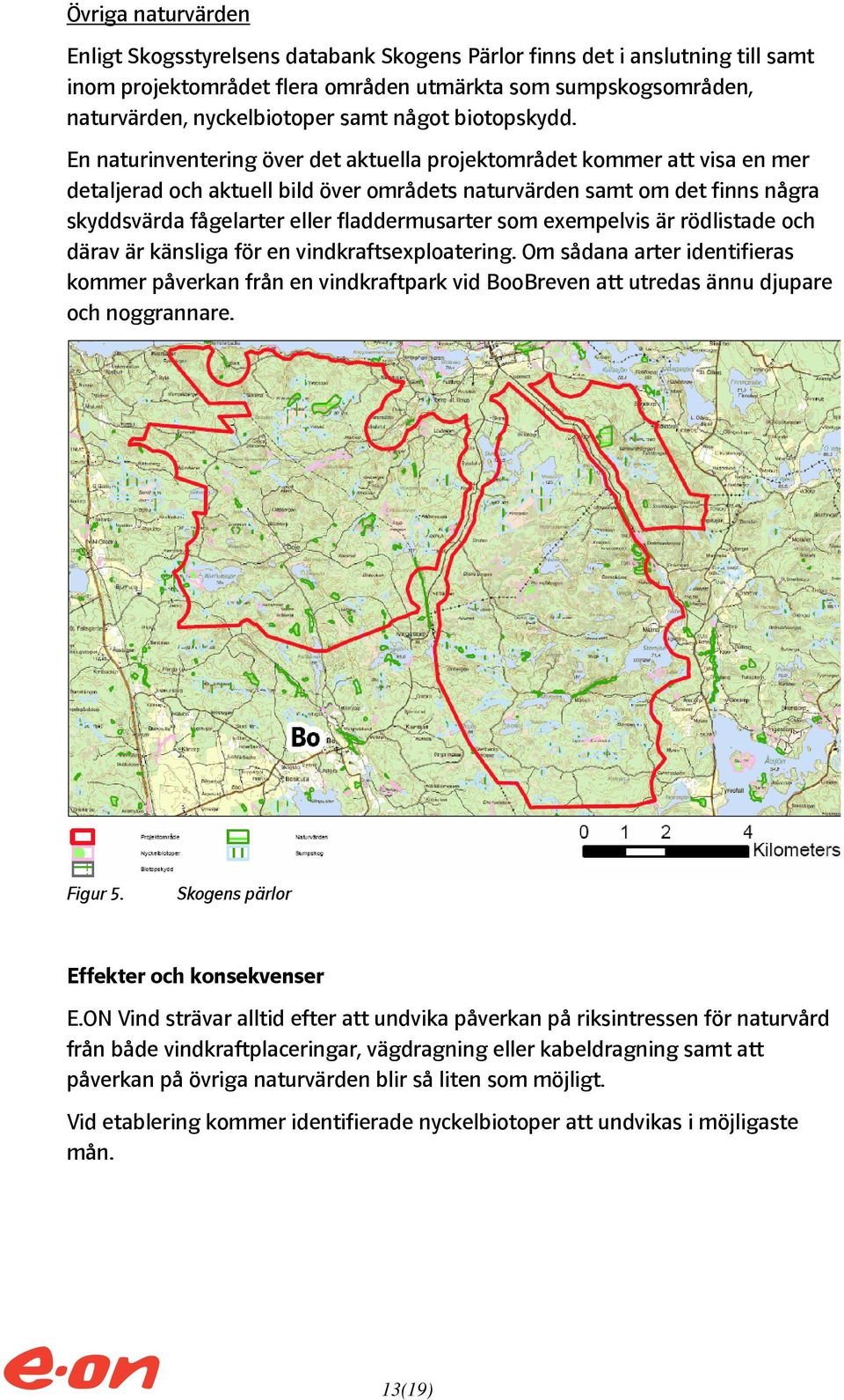 En naturinventering över det aktuella projektområdet kommer att visa en mer detaljerad och aktuell bild över områdets naturvärden samt om det finns några skyddsvärda fågelarter eller fladdermusarter