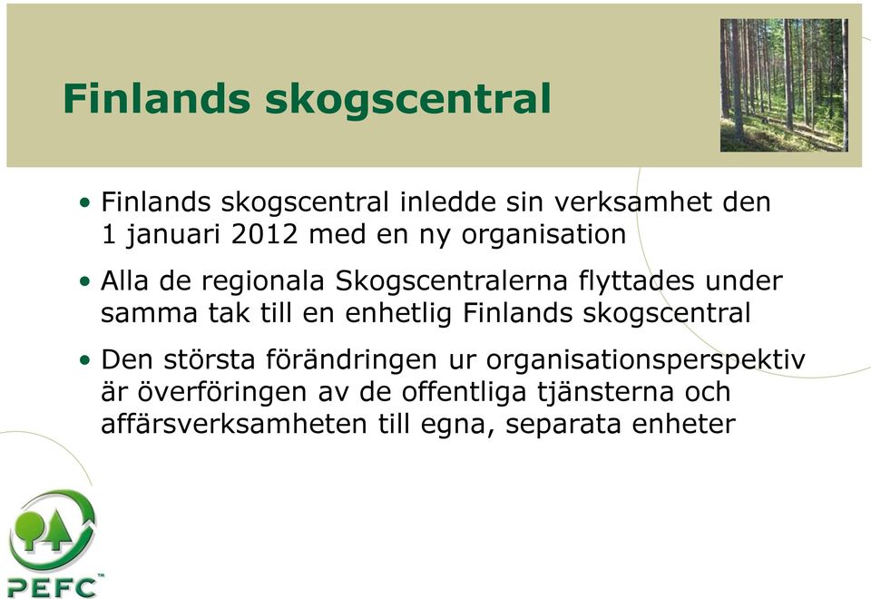 en enhetlig Finlands skogscentral Den största förändringen ur organisationsperspektiv är